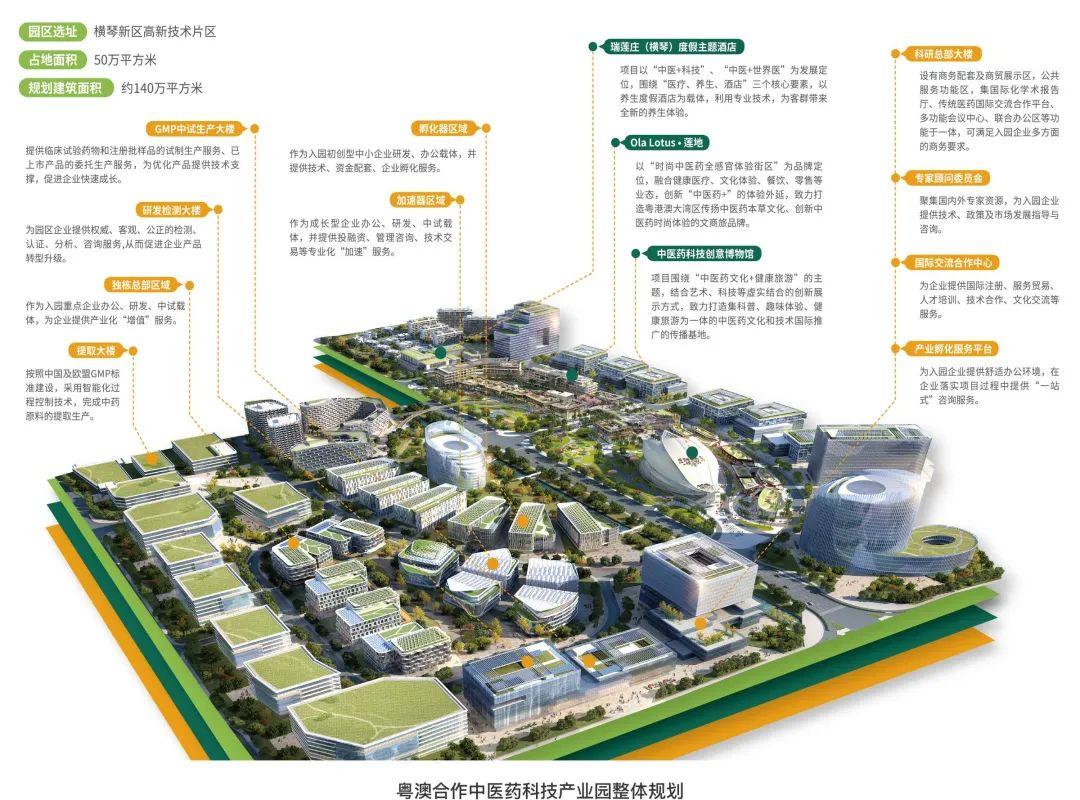 新澳门2025年正版免费公开:精选解释解析落实|最佳精选